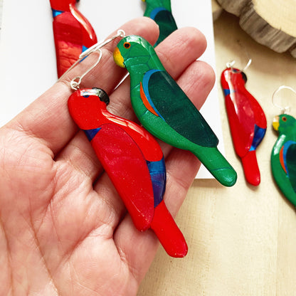 Eclectus Parrot Earrings | grand size