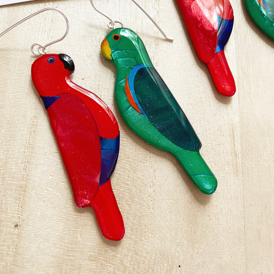 Eclectus Parrot Earrings | grand size